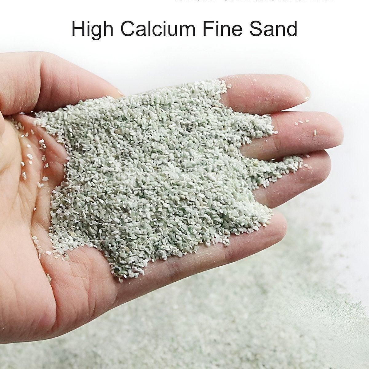 Pet Sand for Tortoises Snakes Lizards Spiders Multi-colour Reptile Habitat Decor - White