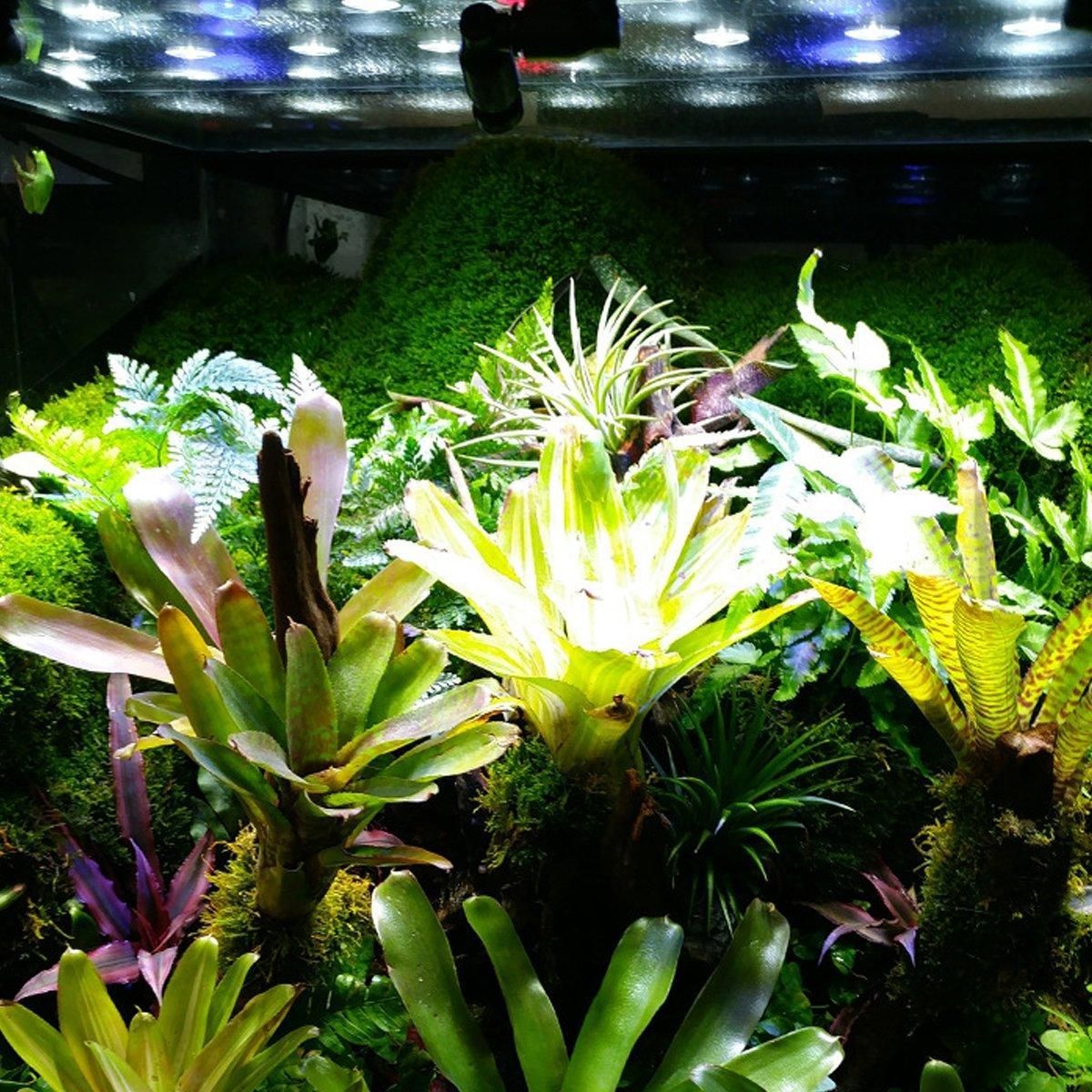Reptile Pet Rainforest Tank Ecological Landscape Spray Atomization Mist System - Four nozzles