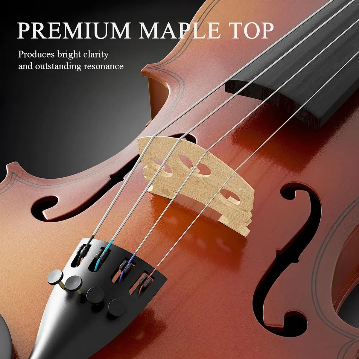 Beginner Violin 4/4 Set Durable Linden Wood for Kids Adults Learning
