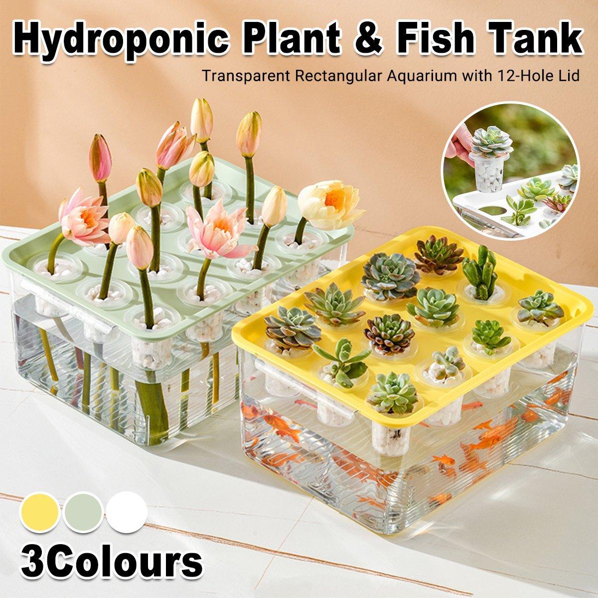 Transparent Rectangular Aquarium 12Hole Lid Portable Hydroponic Plant Fish Tank - Green