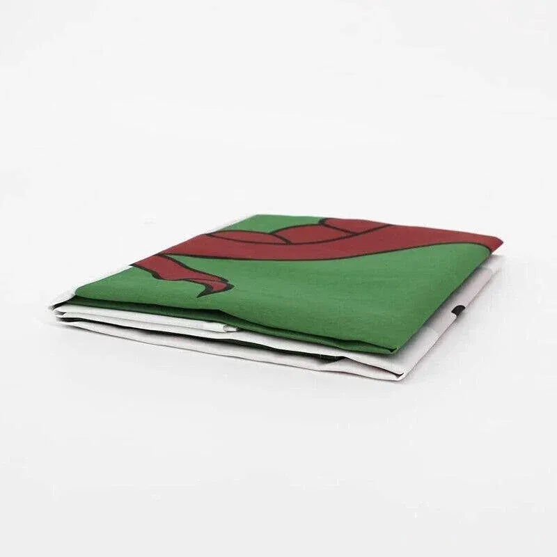 Large Wales Welsh Flag Heavy Duty Outdoor 90 X 150 CM - 3ft x 5ft