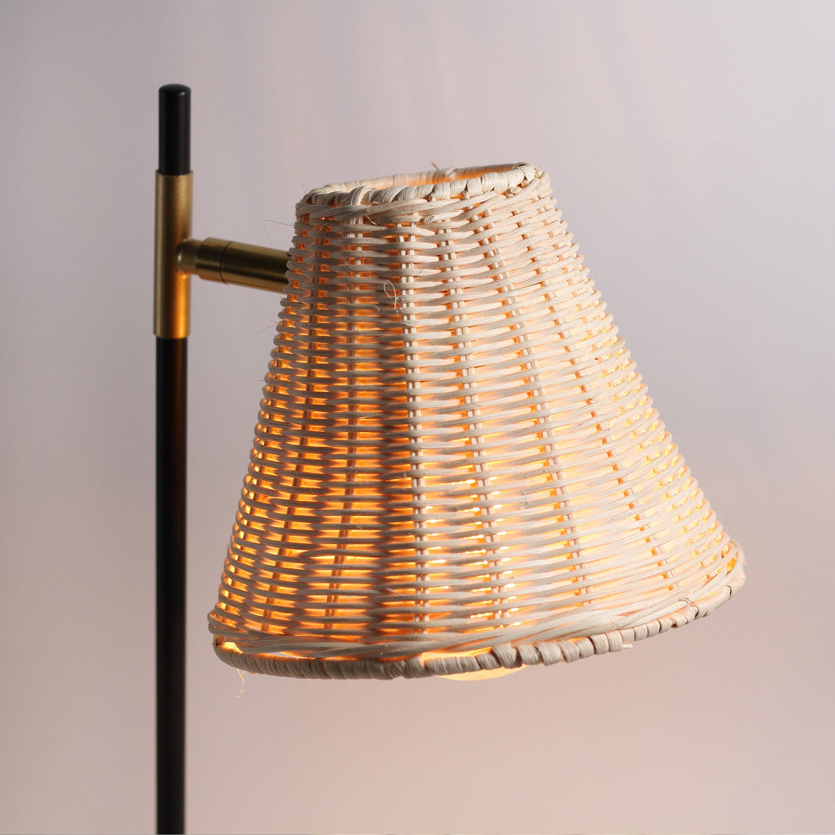 Yvette Natural Rattan & Black Metal Floor Lamp