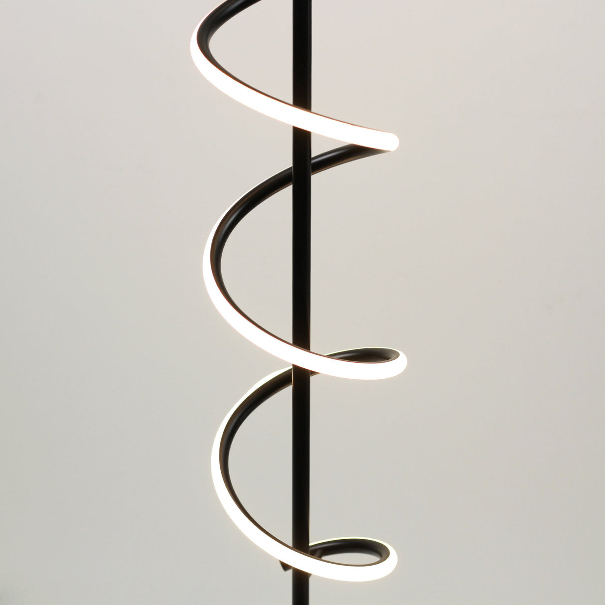 Cirrhi LED Floor Lamp - Black