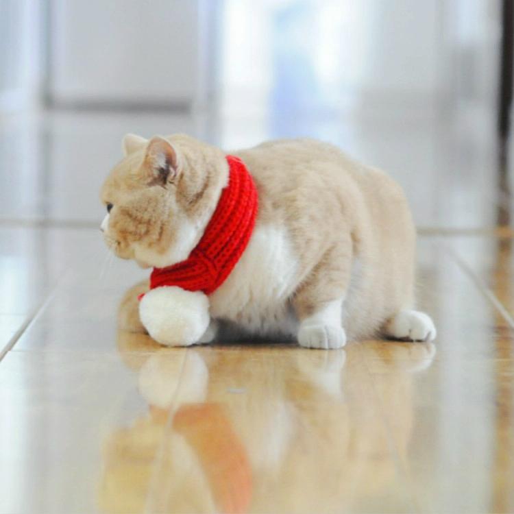 Pet Christmas Wool Scarf Saliva Towel - Size Xs