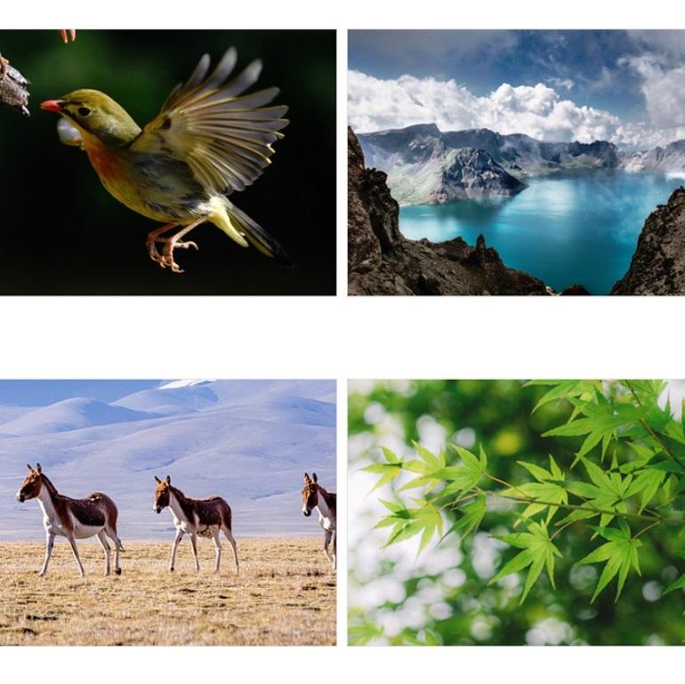 High-power Small Telescope for Kids - Science Education Toy