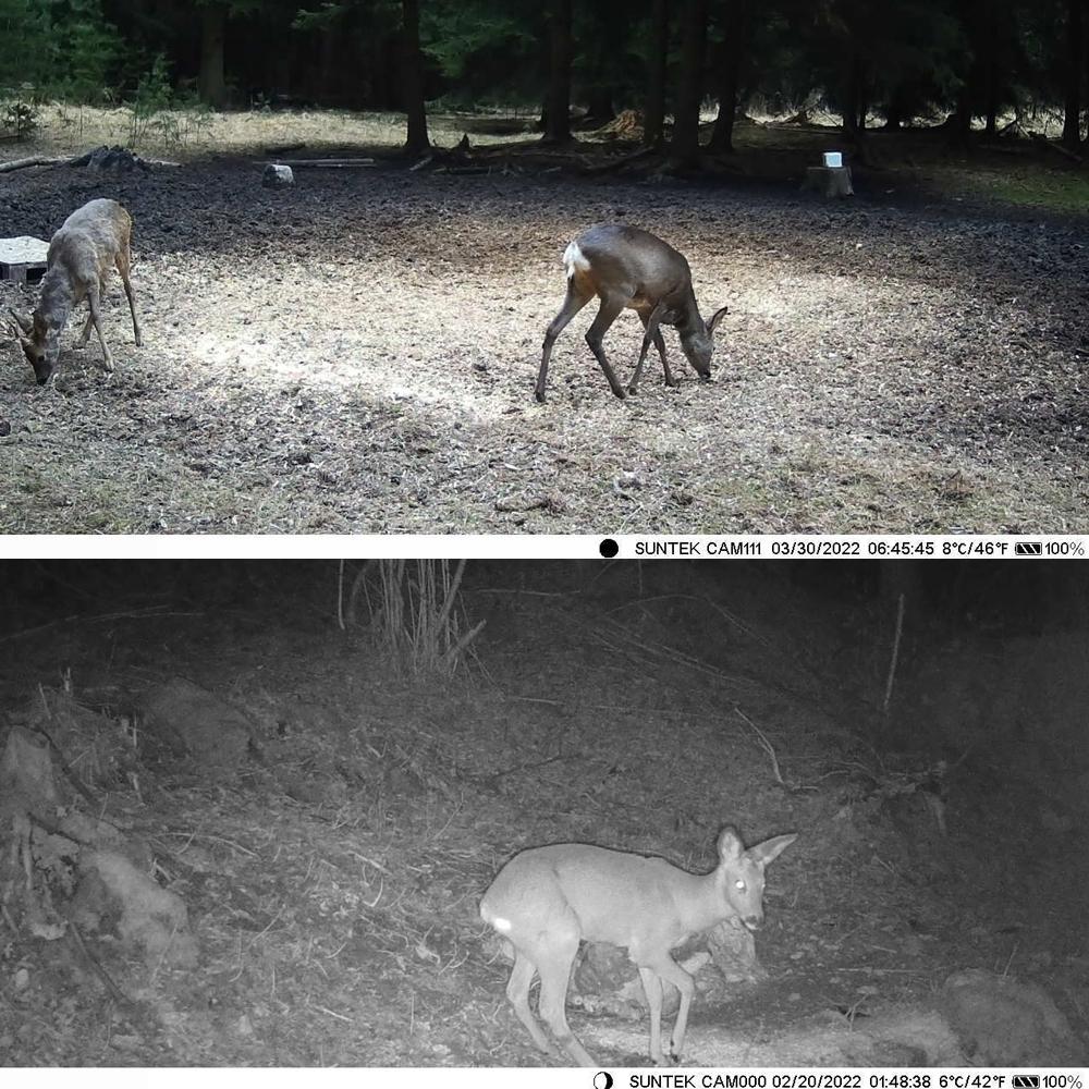 Wireless Bluetooth Control Camera with Infrared Tracking and Wifi Connectivity