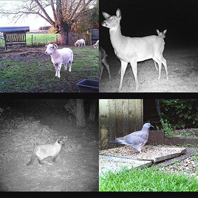 16Mp Waterproof Trail Camera With Night Vision And Wide Angle Lcd