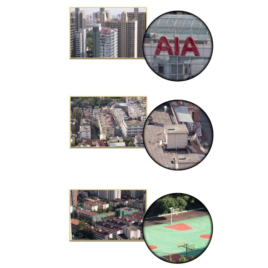 High Power Outdoor Binoculars for Low Light Night Vision - 20x50 - Armygreen