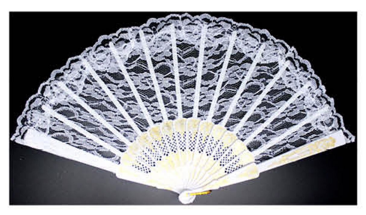 Lace Folding Hand Fan Bridal Wedding Party Spanish Costume Accessory - White