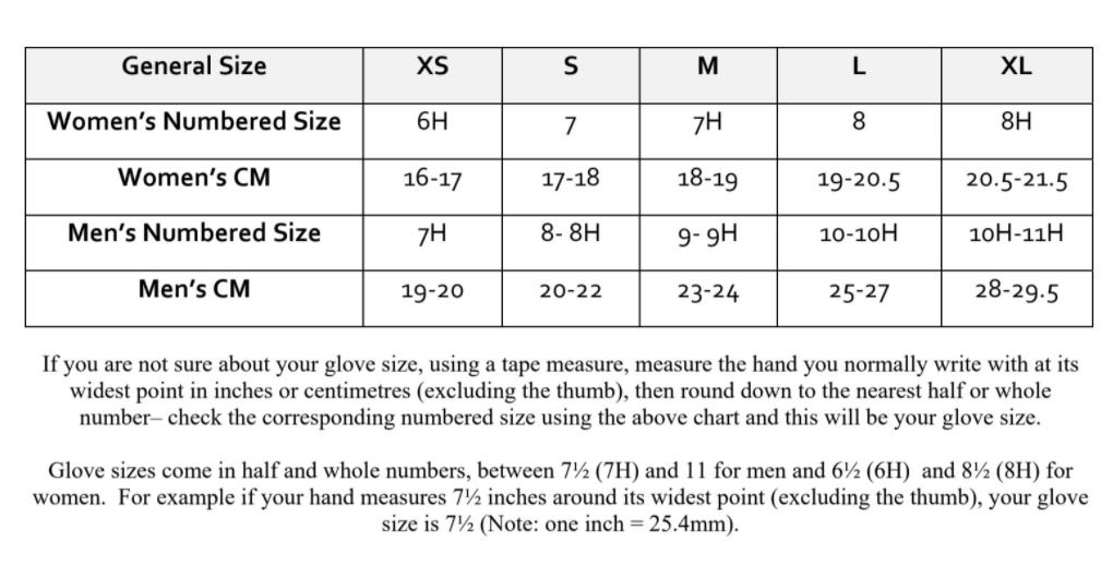 Thinsulate Insulated Leather Winter Motorcycle Gloves for Men - Black - Size S