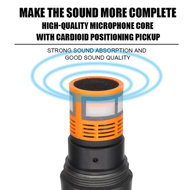 HridZ Dual Channel UHF Wireless Microphone System with Rechargeable Mics for Performances and Events