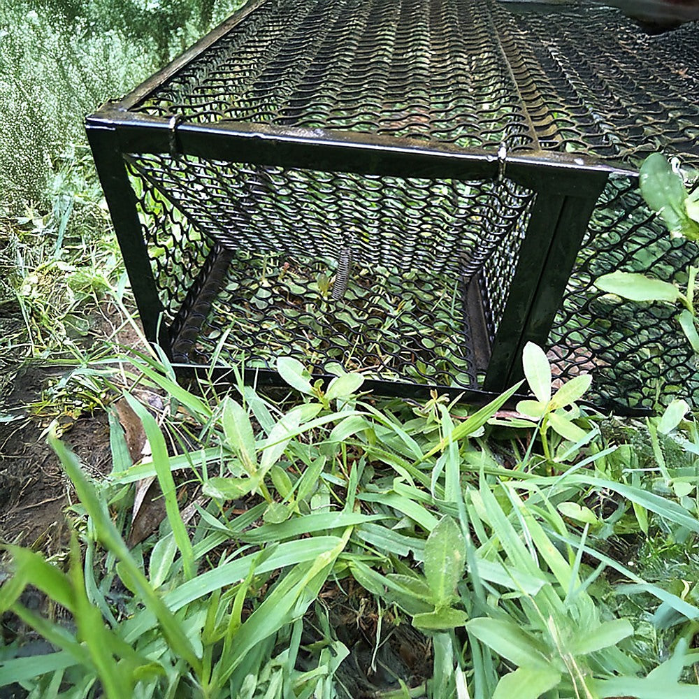 Humane Snake Trap Remove Small to Medium Snakes 2 Doors