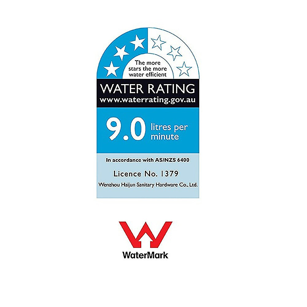 WELS 10 Rain Shower Head Set Square Dual Heads High Pressure with Handheld in Black