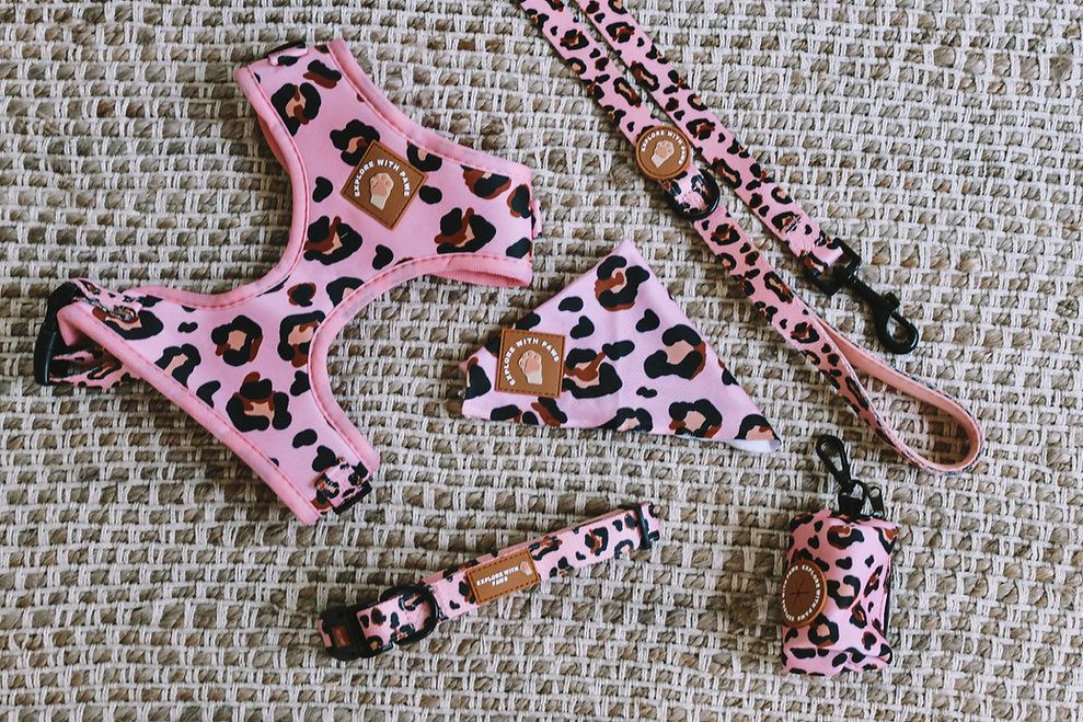 Dog Accessories Bundle Packaged