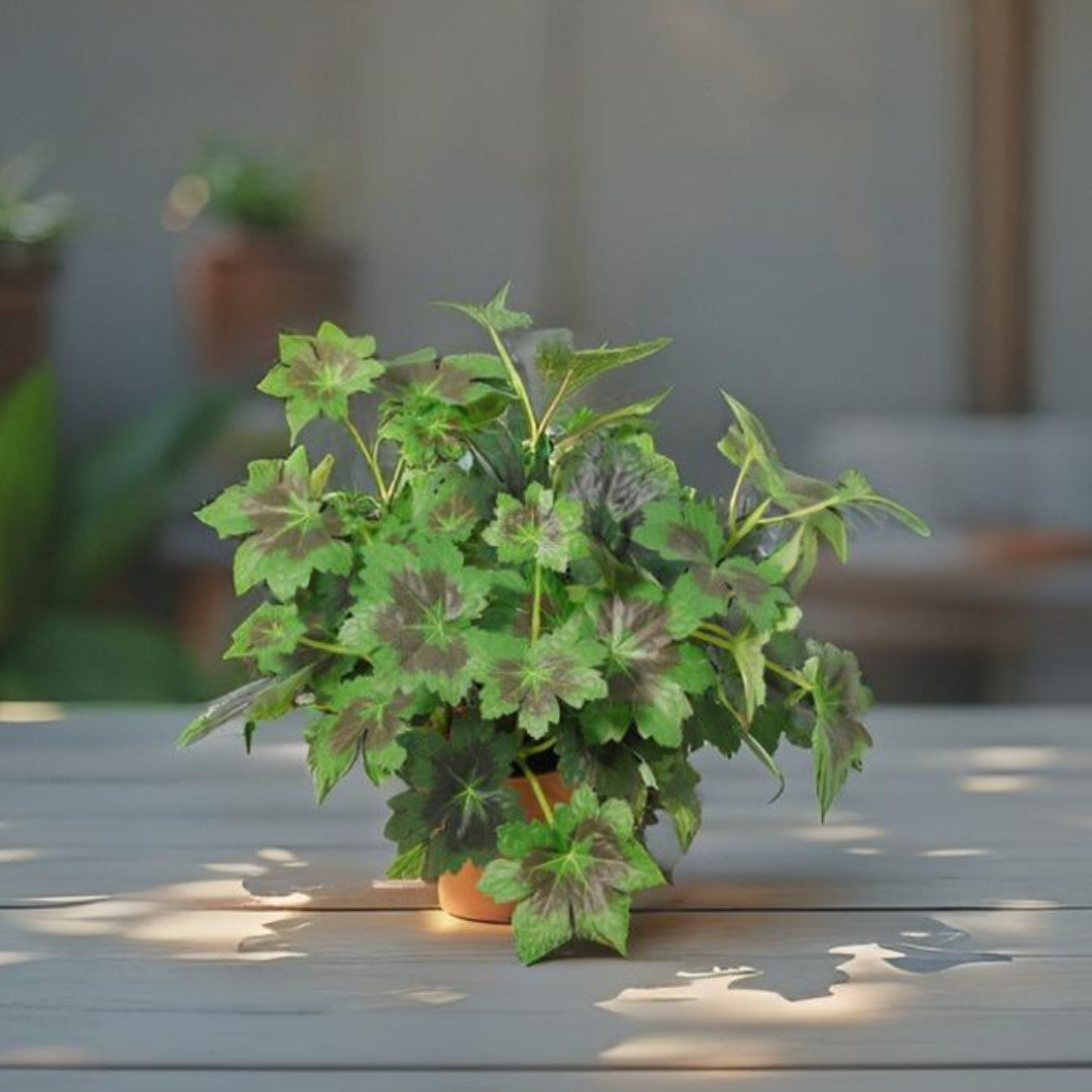 Potted Artificial Grape Leaf Plant 33cm