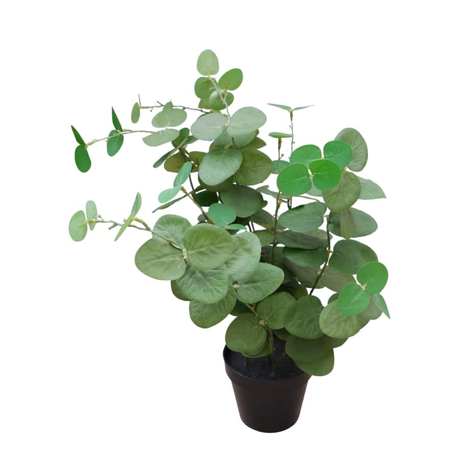 Potted Artificial Eucalyptus 48cm