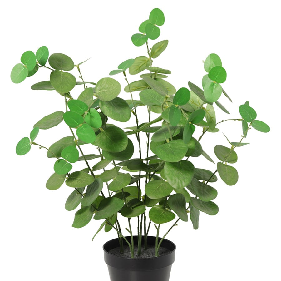 Potted Artificial Eucalyptus 48cm