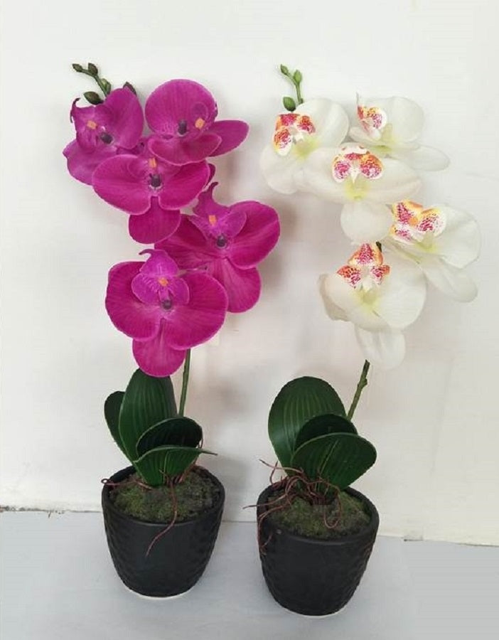 Set 2 Artificial Single Stem Orchid in Plastic Pot 32cm