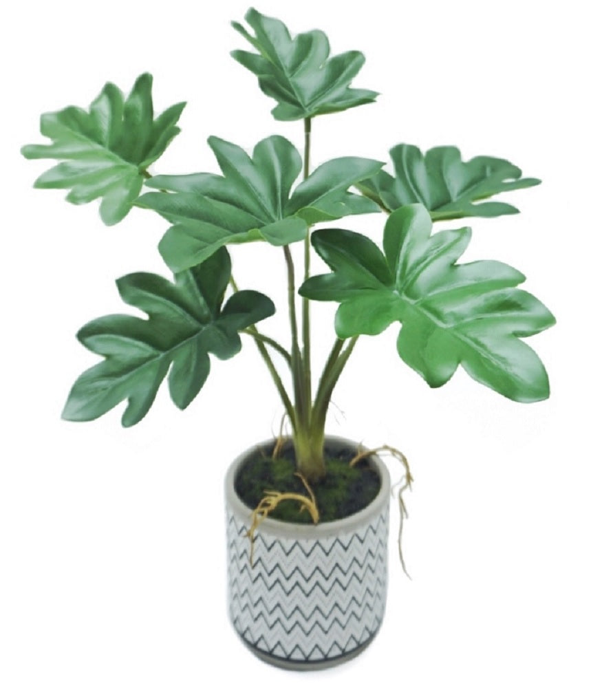 Artificial Philodendron In Ceramic Pot 7x31cm