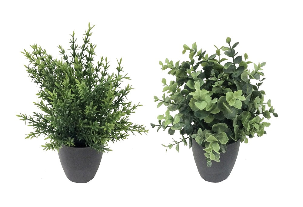 Set 2 Artificial Grass in Pot Assort 25cm