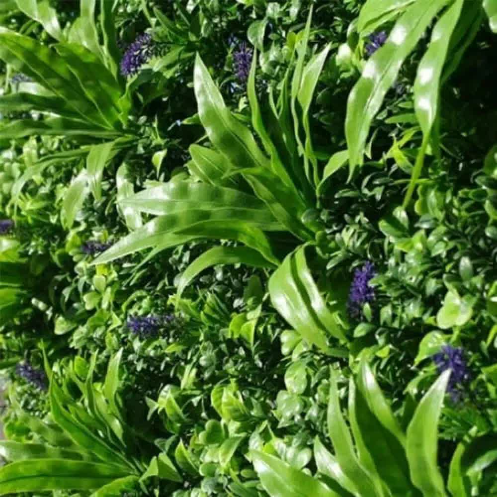Lavandula Vertical Garden / Green Wall UV Resistant SAMPLE