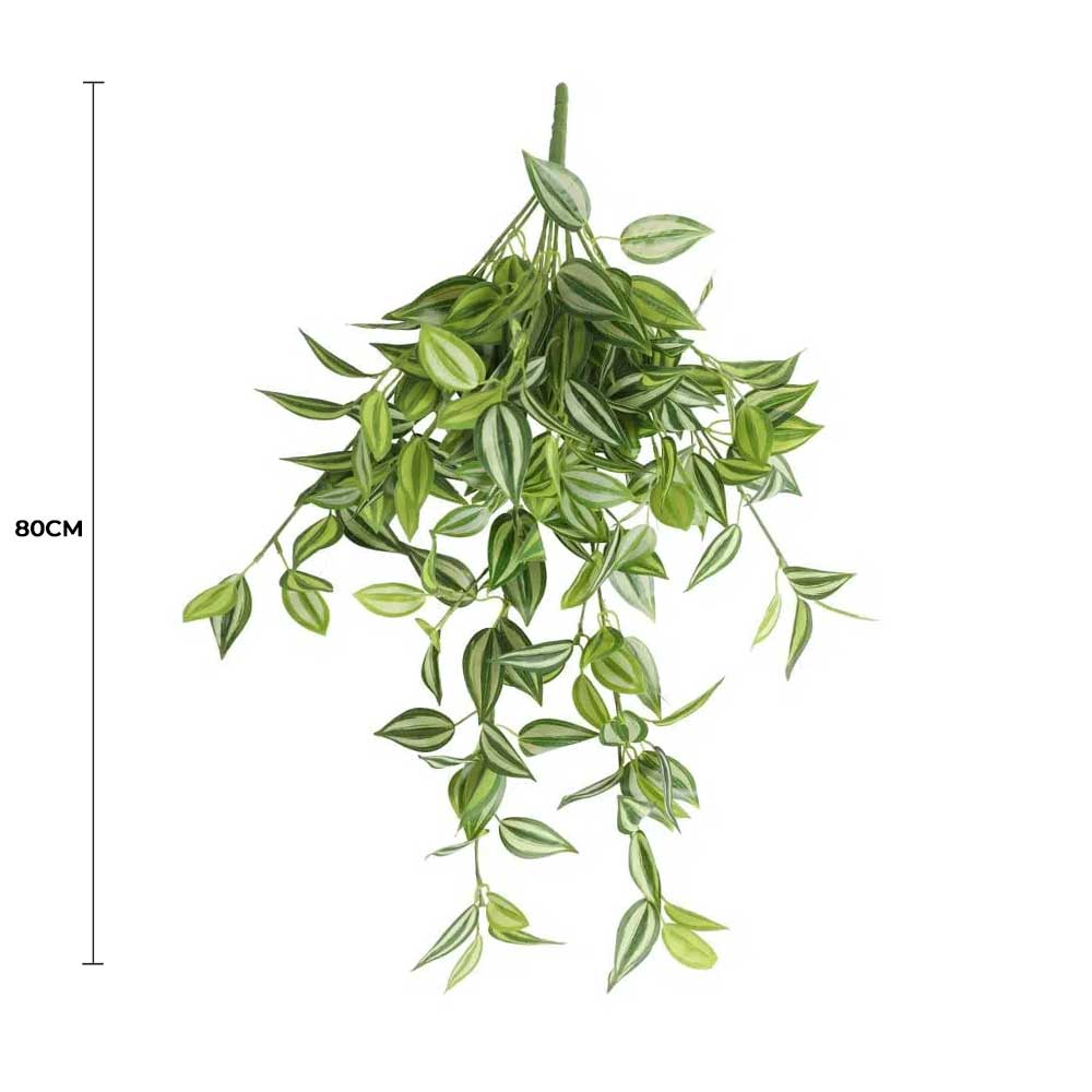 Mixed White and Green Hanging Philodendron Bush 80cm