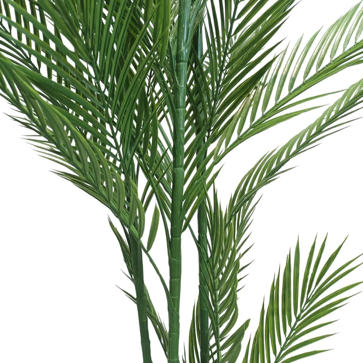 Real Touch Artificial Phoenix Palm Tree UV Resistant 180cm