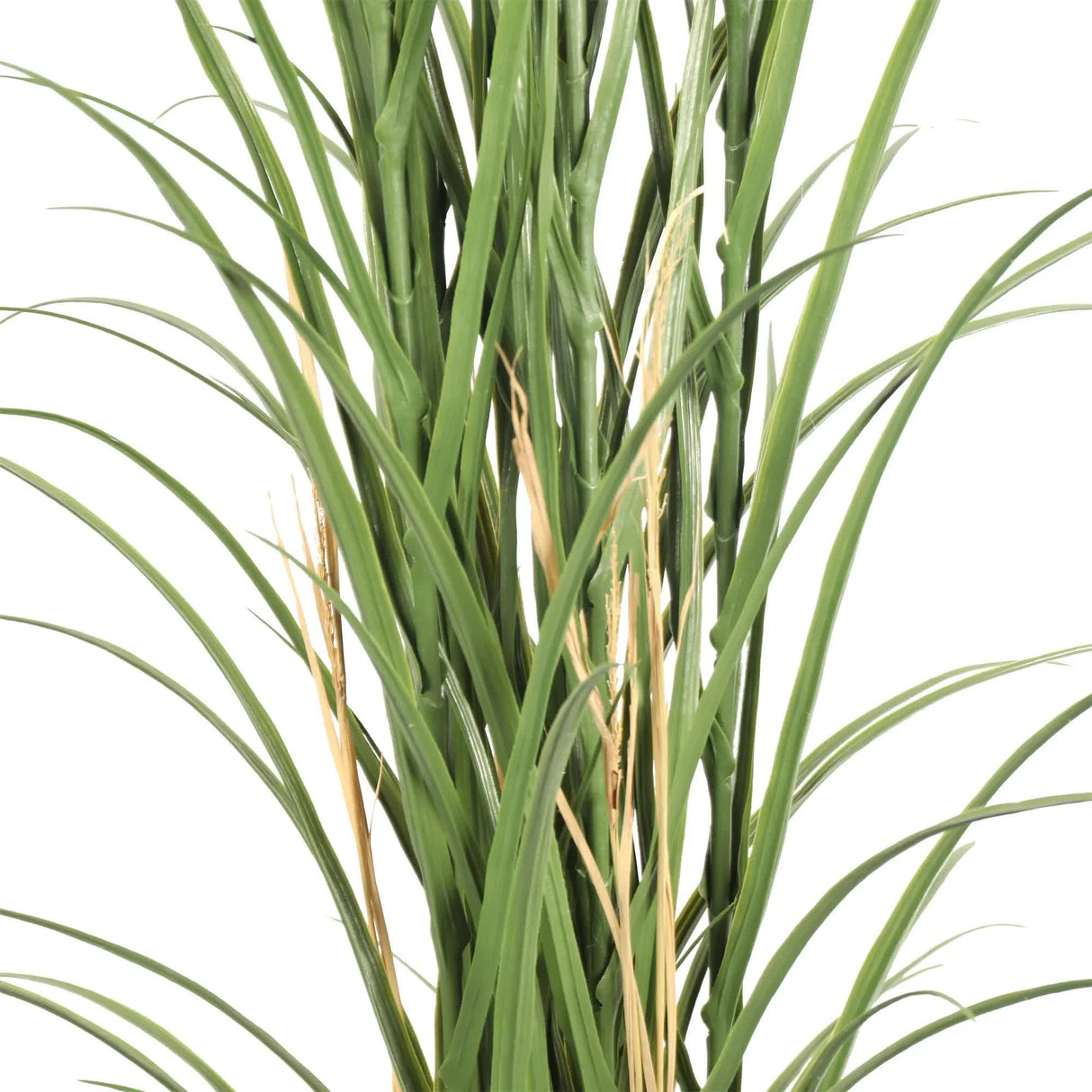 Premium Potted Artificial Long Grass (Yucca Grass / Reed Grass) 180cm UV Resistant