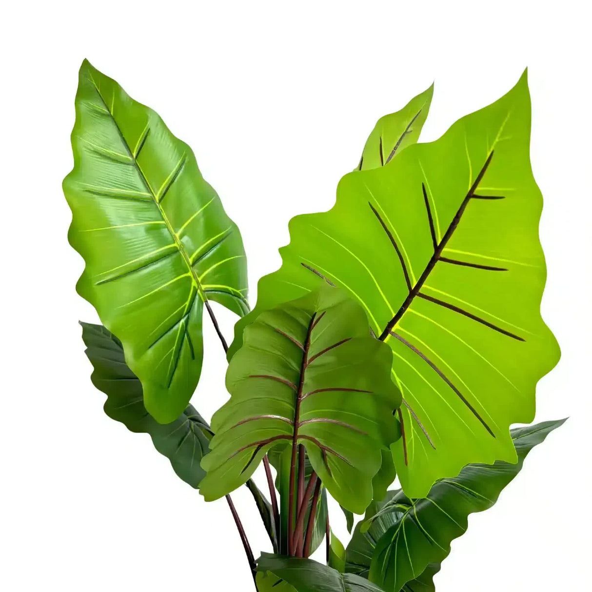 Nearly Natural Artificial Taro Elephant Ear Palm 170cm