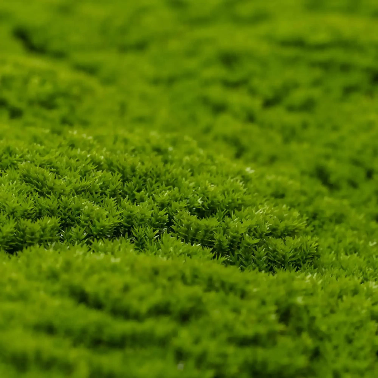 Fresh Natural Green Artificial Moss / Green Wall UV Resistant 1m x 1m