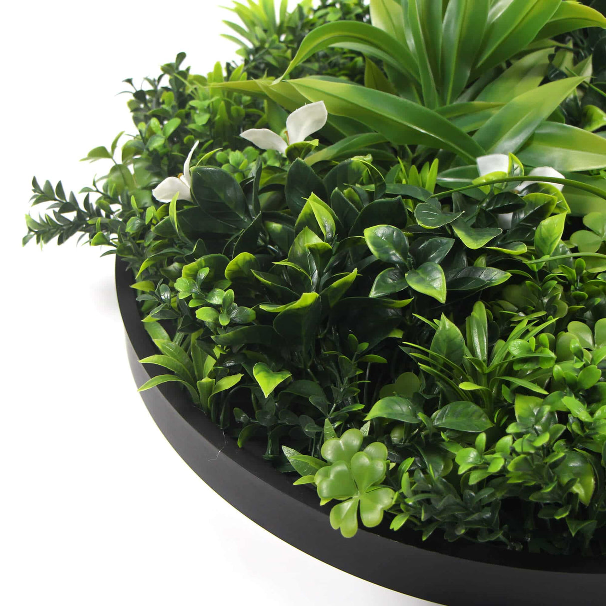 Slimline Flowering White Artificial Green Wall Disc UV Resistant 75cm (Black Frame)