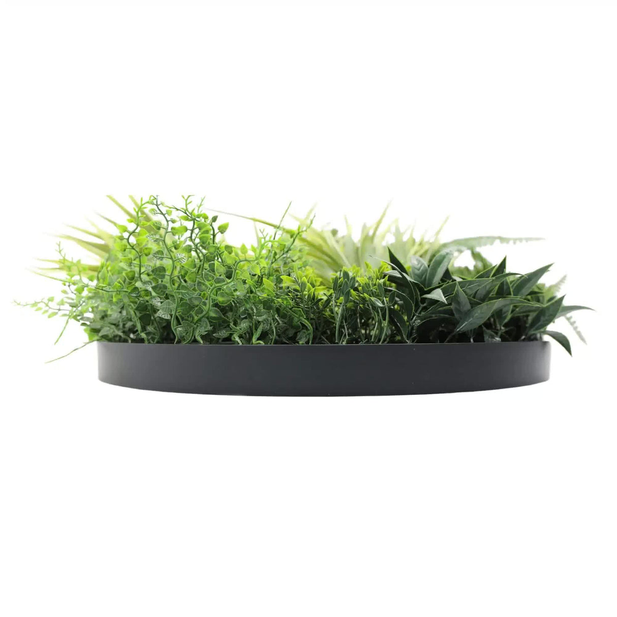 Slimline Artificial Green Wall Disc Art 50cm Grassy Fern Fields UV Resistant (Black)