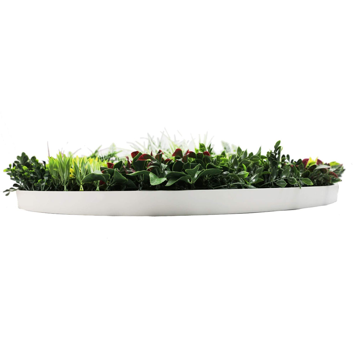 Slimline Artificial Green Wall Disc Art 100cm Colour Fresh UV Resistant (White)