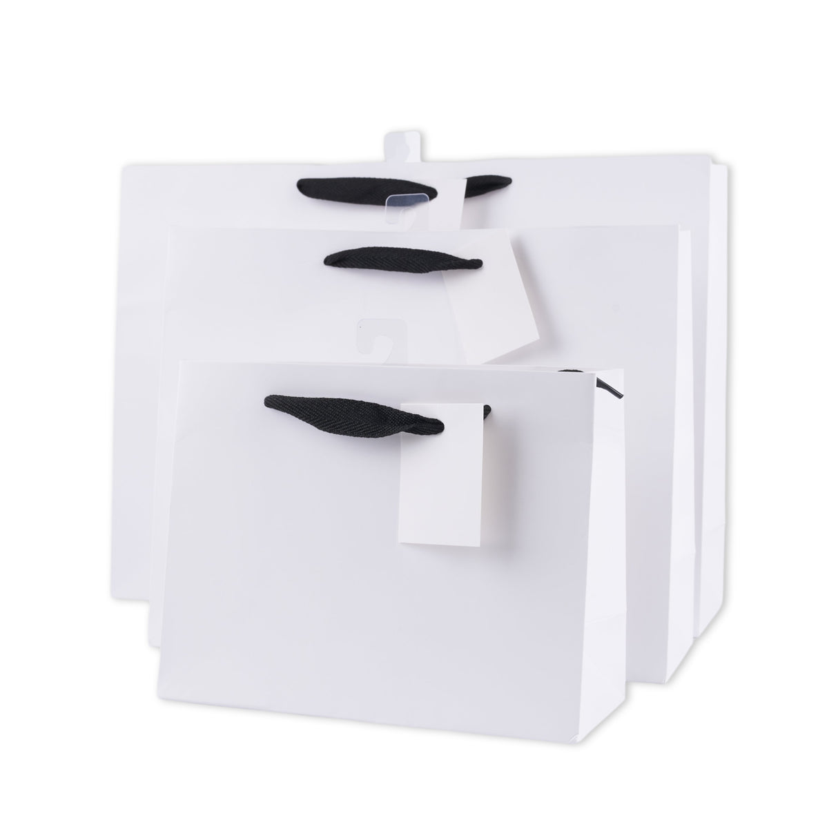 bulk 24 Xlarge Landscape Gift Bags w Handle 31x42cm