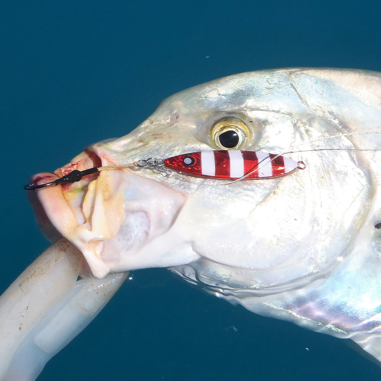 The Reef Jigger Gift Pack