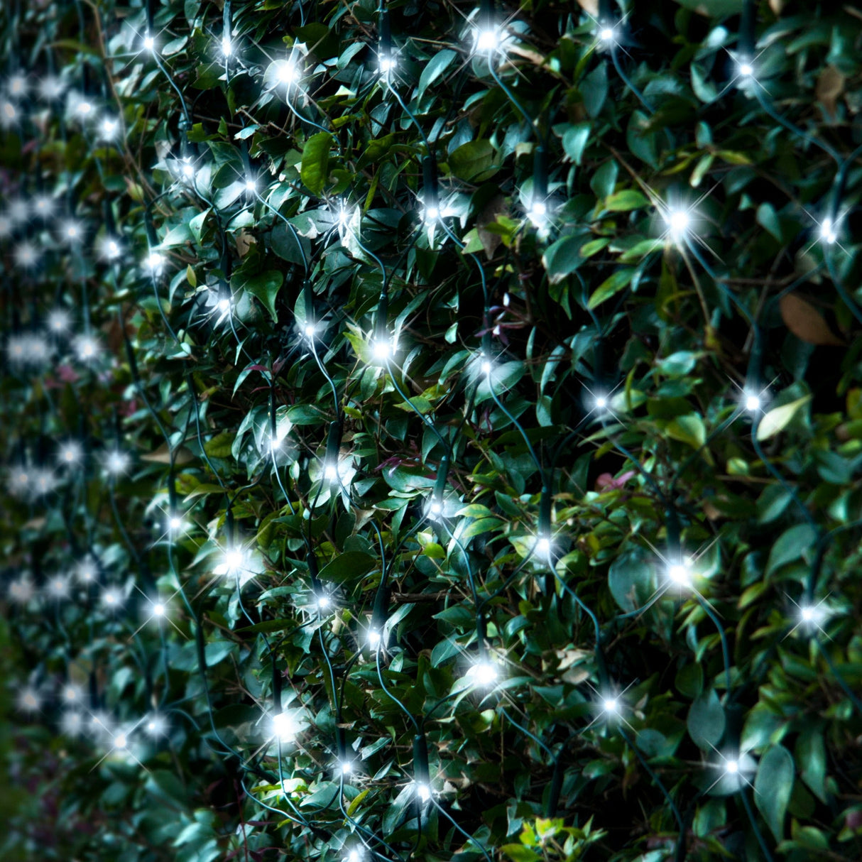 Solar-Powered 150 LED Festive Net Lights - Choose Your Color Delight!