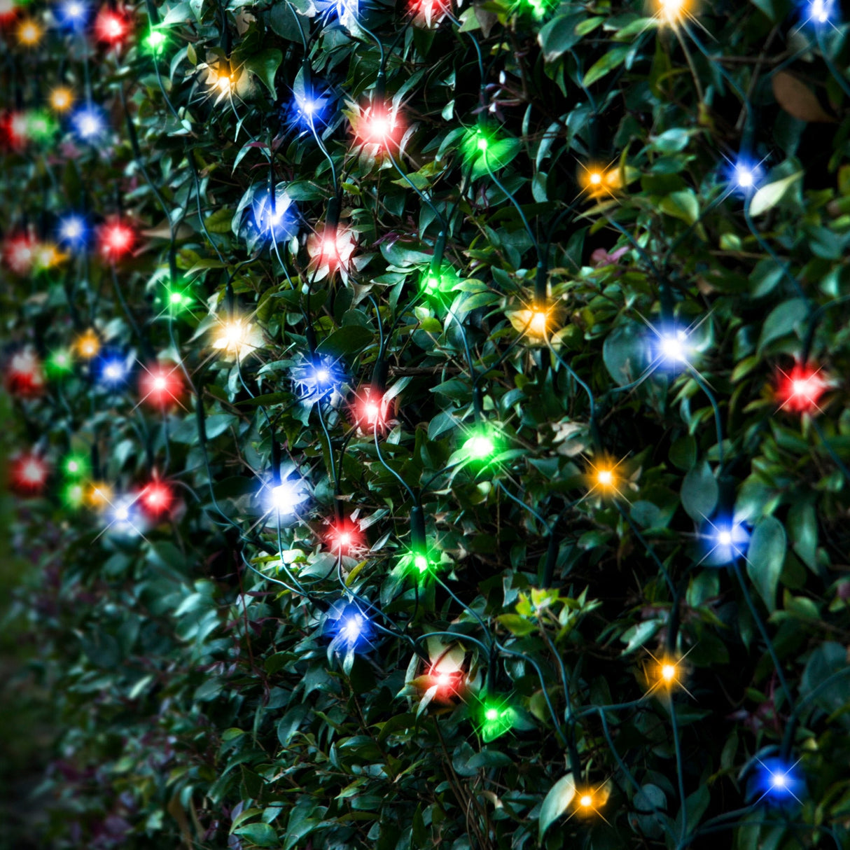 Solar-Powered 250 LED Festive Net Light - Available in 3 Vibrant Colors