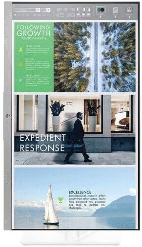 (Refurbished) E243 24 5ms IPS Monitor (No Stand)