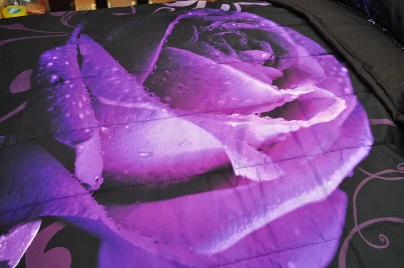 Rose Golden Hour Comforter Set ??Aesthetic 3??iece Bedroom Mood