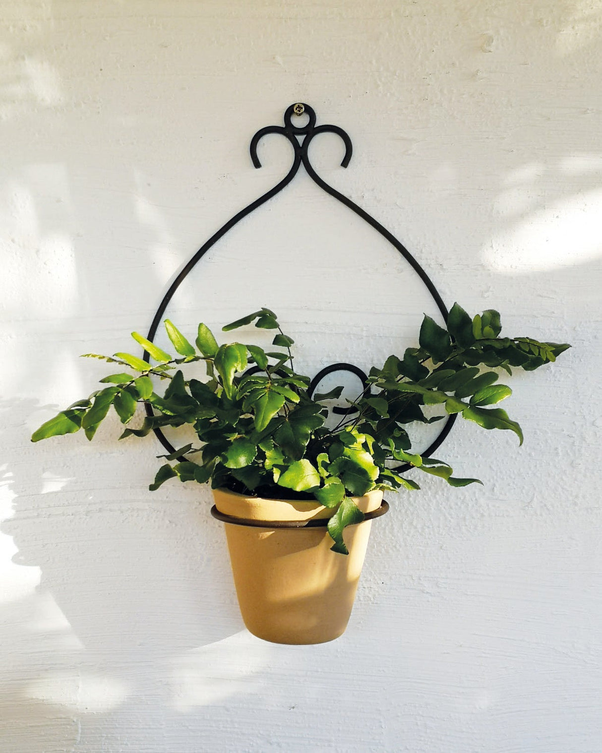 casa-verde-goya-wall-pot-holder-with-pot-cv05158