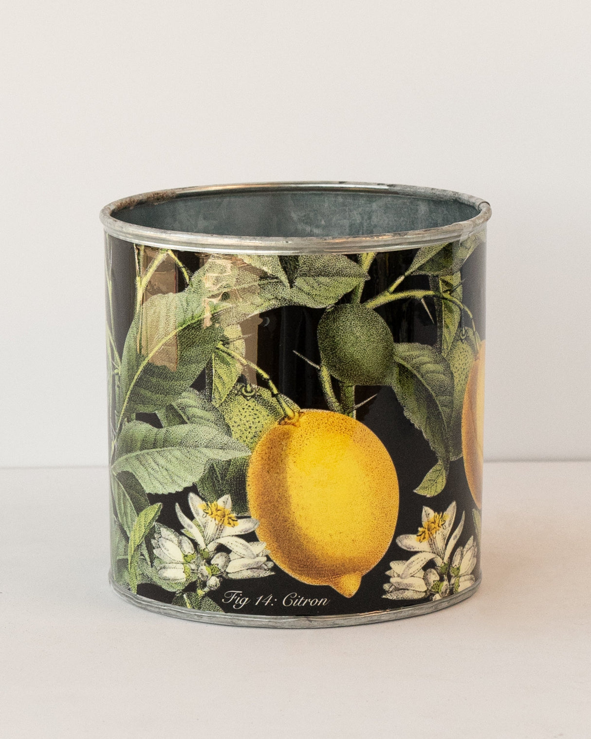 tin-planter-lemons-set-of-4