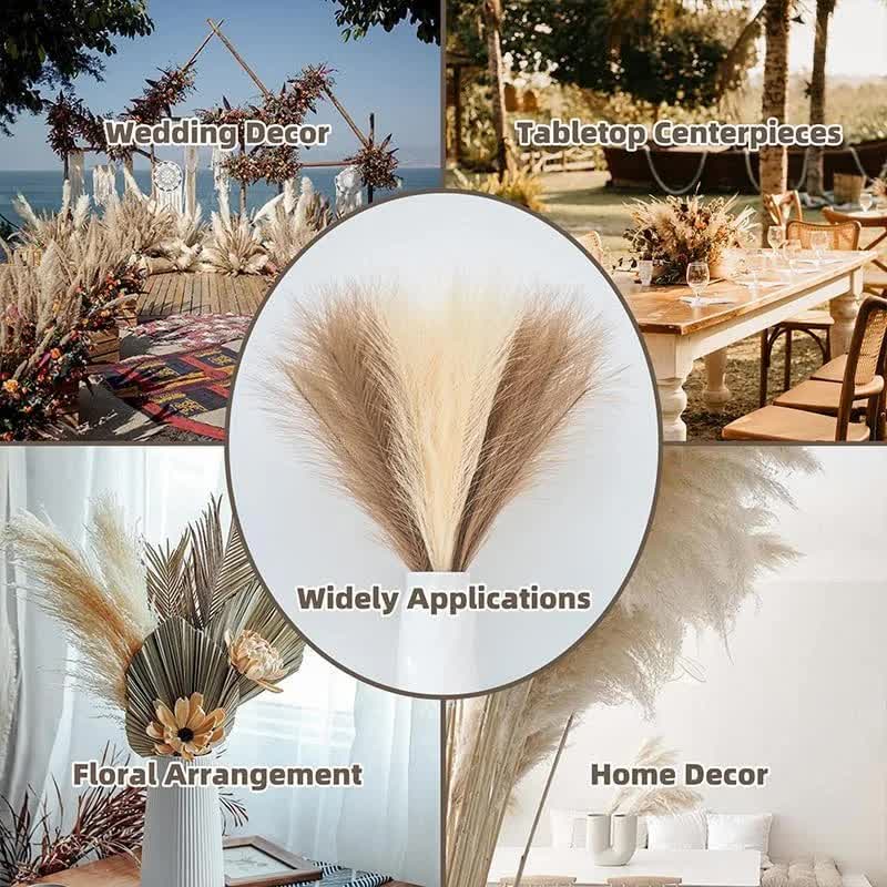 20 sticks Natural Dark Gray Pampas Grass Bouquet-21.65 Fluffy Dried Pampas for Home Decor and Events