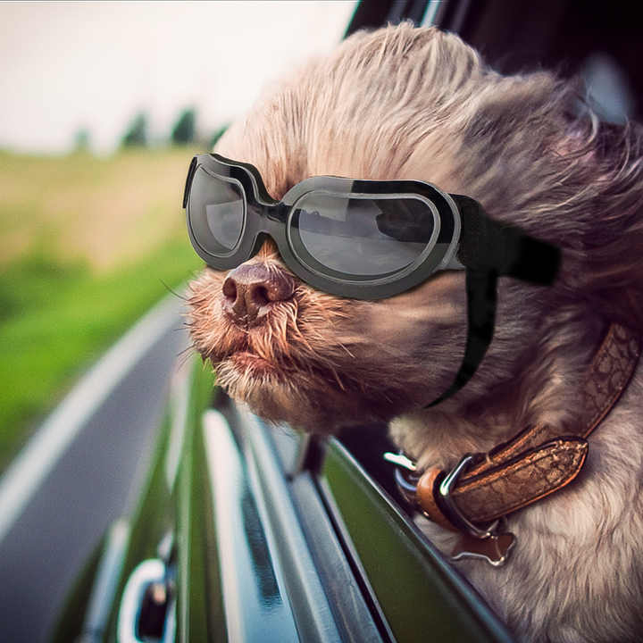 Black Lenses Pet Sunglasses for Dogs and Cats - UV Protection, Adjustable Strap, Anti-Wind and Anti-Fog Pet Goggles
