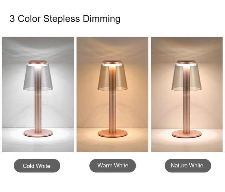 Gold Stylish Transparent Desk Lamp with Touch Control, LED, Type-C Charging ??Simple and Modern Design