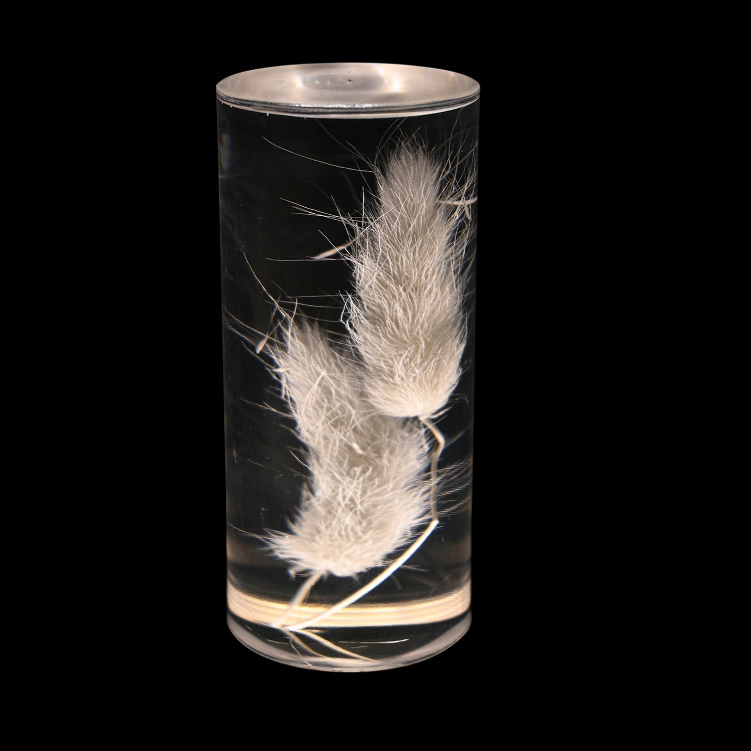 Dogtail Grass Eternal Flower Acrylic Table Lamp - Color-Changing LED, USB Rechargeable, Touch Control