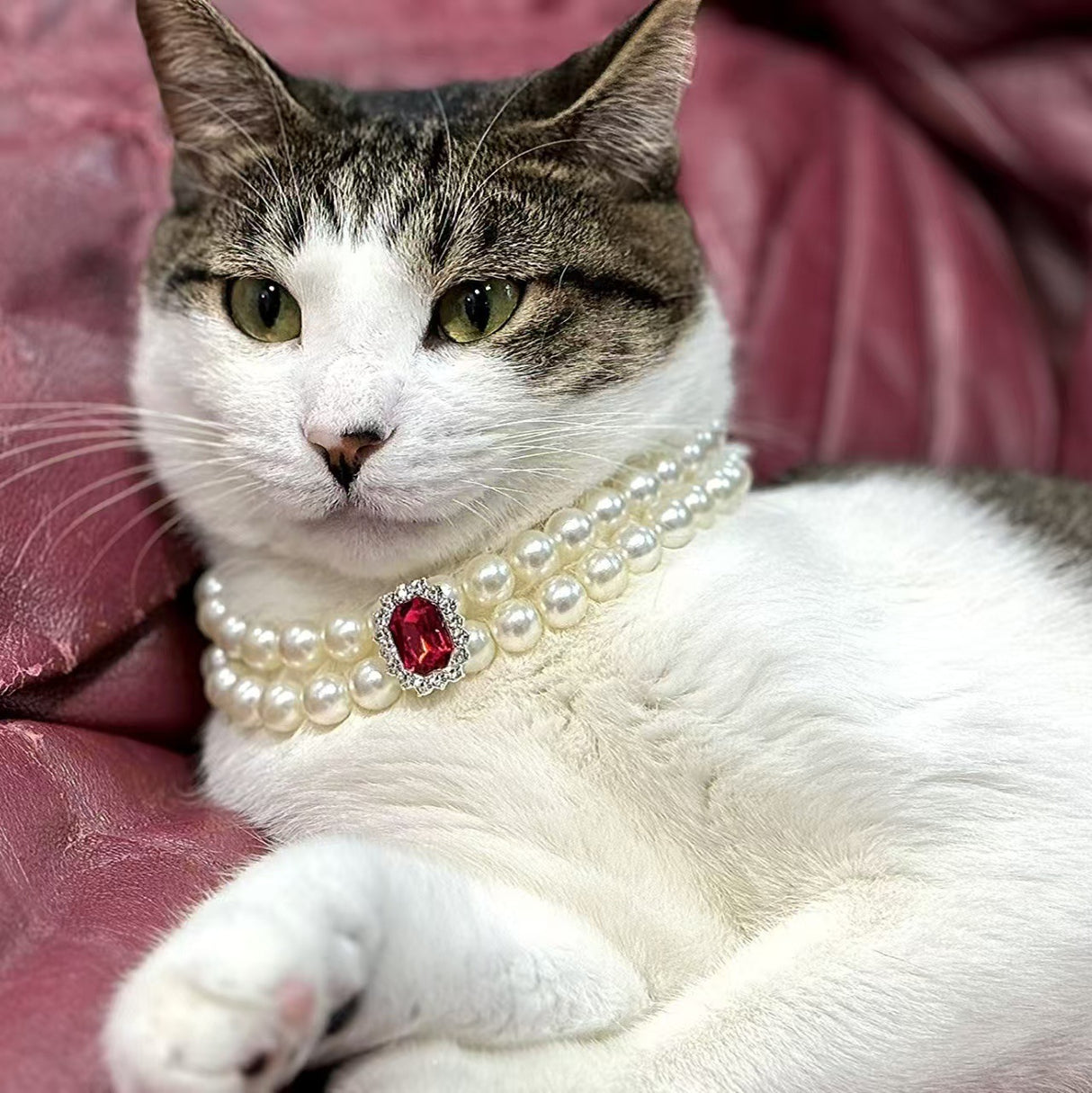 3-pcs Red Diamond Double Strand Pearl & Rhinestone Pet Necklace - Luxury Collar for Cats & Dogs Size S (20-26CMCM)