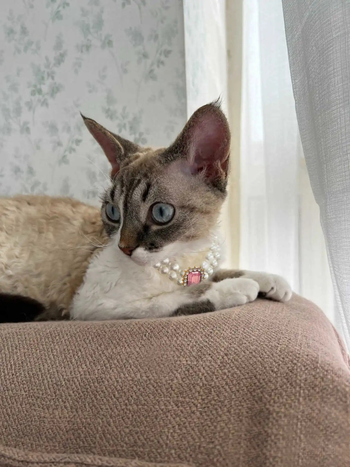 3-pcs Pink Diamond Double Strand Pearl & Rhinestone Pet Necklace - Luxury Collar for Cats & Dogs Size S (20-26CMCM)