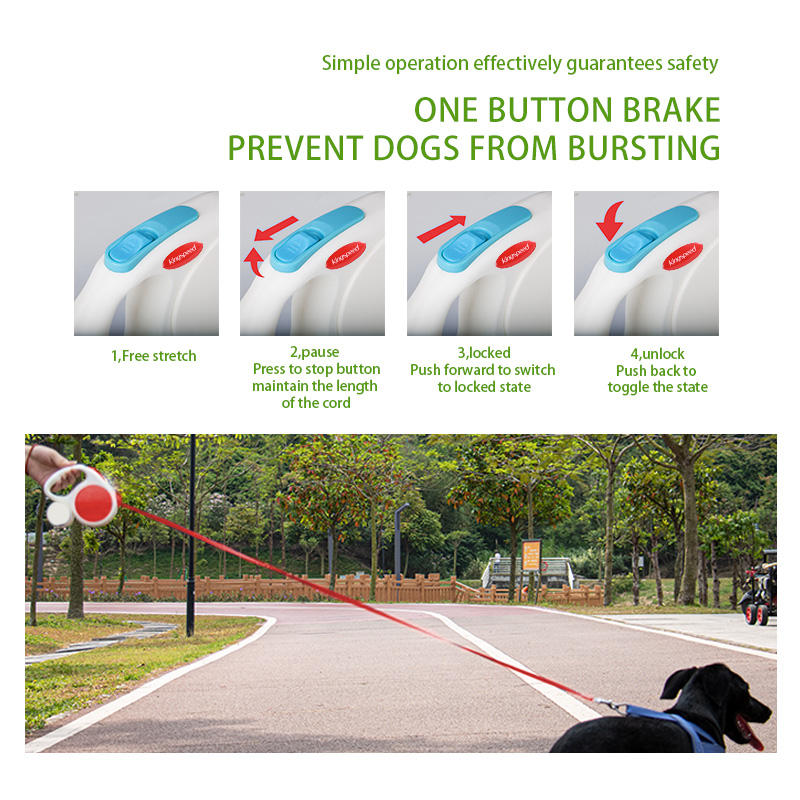 Black 5M Retractable Dog Leash - With Small Box, Suitable For Small And Medium Dogs