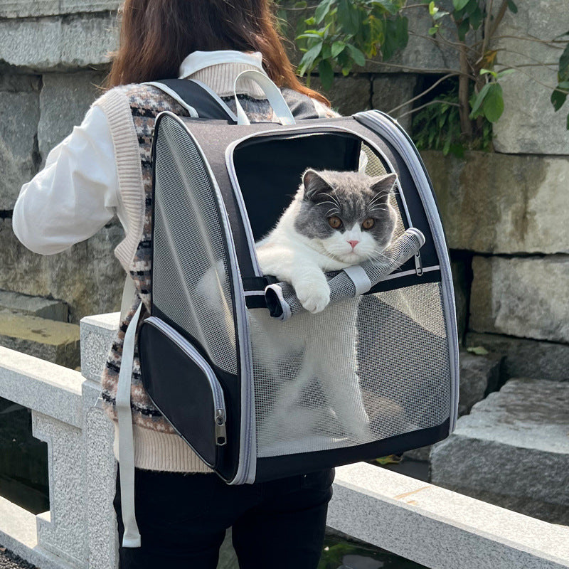 Black Foldable Pet Carrier Backpack - Breathable Mesh Travel Bag for Cats & Small Dogs