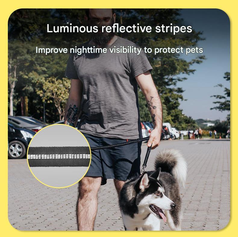 Red Shock Absorbing Dog Leash with Reflective Stitching - 135cm for Small to Large Dogs